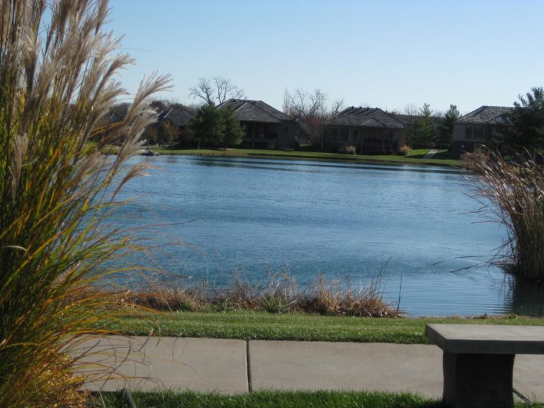 IMG 3061 1200x900 - Blog