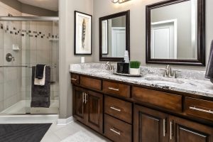 tile shower and double sink vanity