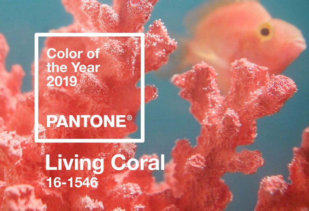 pantone-color-of-the-year-2019-living-coral-banner-mobile